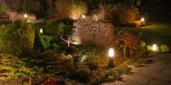 Lighting Contractors